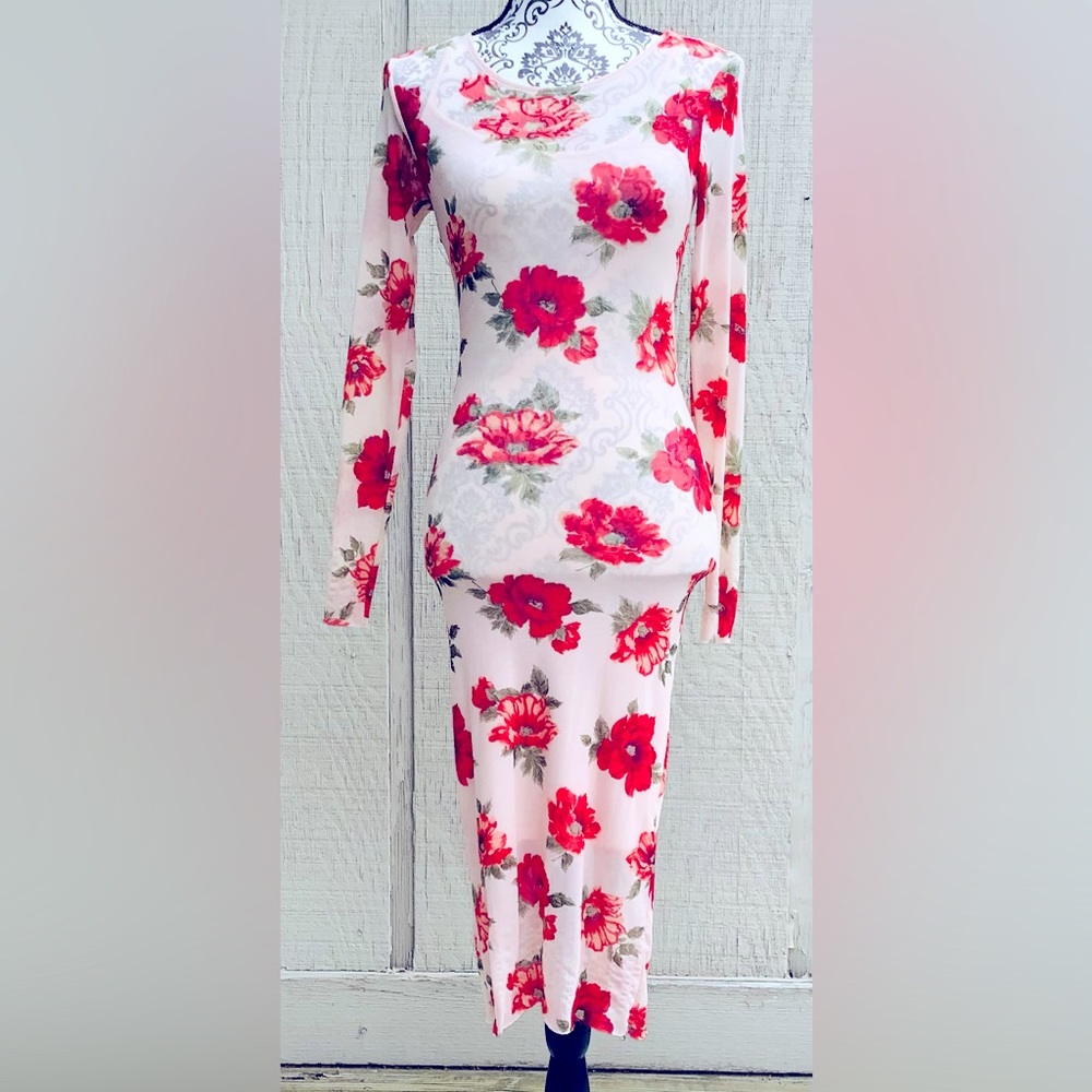 Long sleeve sheer dress with roses